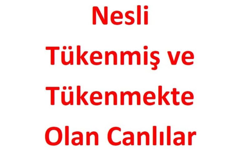 Nesli Tükenmiş ve Tükenmekte Olan Canlılar