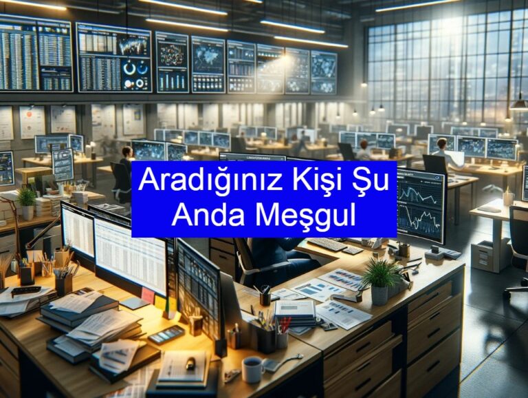 Aradığınız Kişi Şu Anda Meşgul