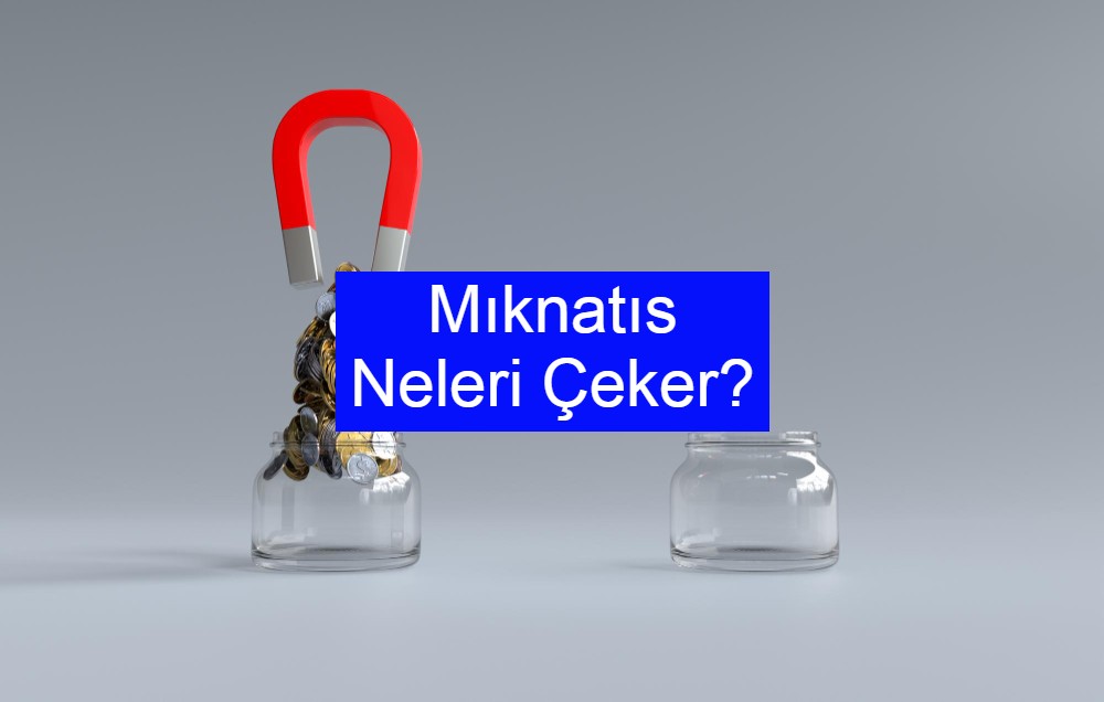 Mıknatıs Neleri Çeker